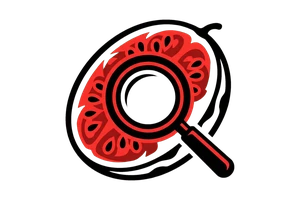 龙珠体育 - 吃瓜社Logo